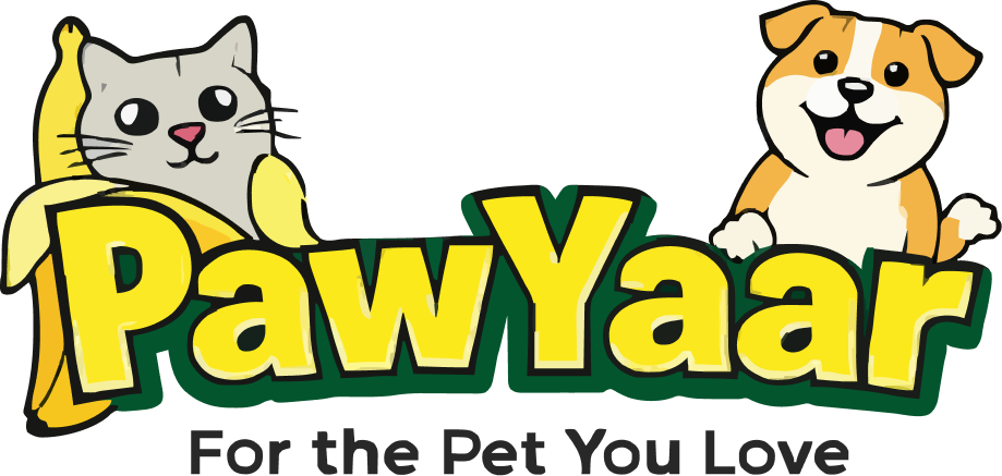 Pawyaar